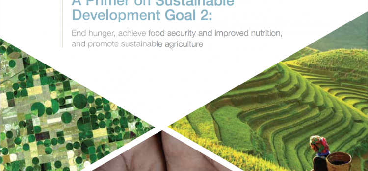 Zero Hunger: A Primer on Sustainable Development Goal 2
