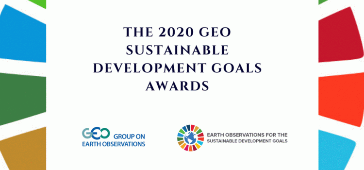 Announcing GEO SDG Awards 2020 Winners