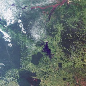 “IPP-funded EO solutions are monitoring an estimated 40 million hectares of forests and have avoided an estimated one million hectares” Source: European Space Agency