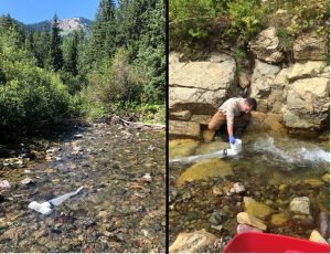 eDNA (environmental DNA) catchment devices in use by the research team for rainbow trout inFlathead National Forest.