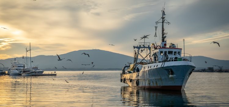 Sustainable Fishery Management in the United States