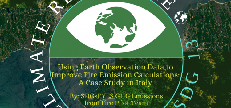 Using Earth Observation Data to Improve Fire Emission Calculations: A Case Study in Italy