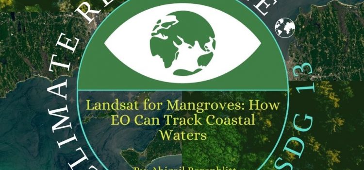 Landsat for Mangroves: How EO Can Track Coastal Waters